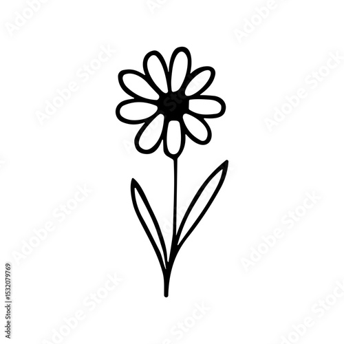 Simple Outline Handdrawn Daisy Single Stem and Leaves Icon Design
