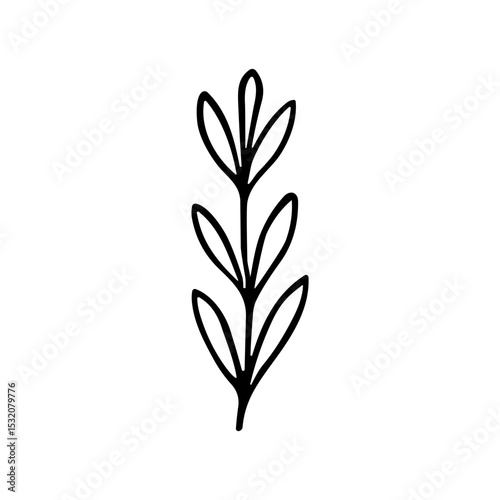 Minimalist Handdrawn Simple Branch with Leaves Botanical Element Illustration