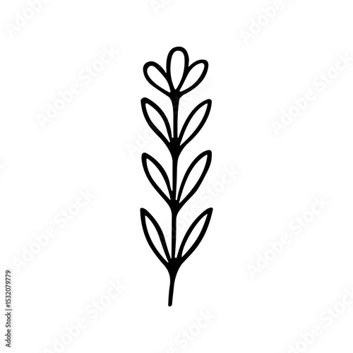 Simple Handdrawn Lavender Floral Element Design Decorative Isolated Graphic