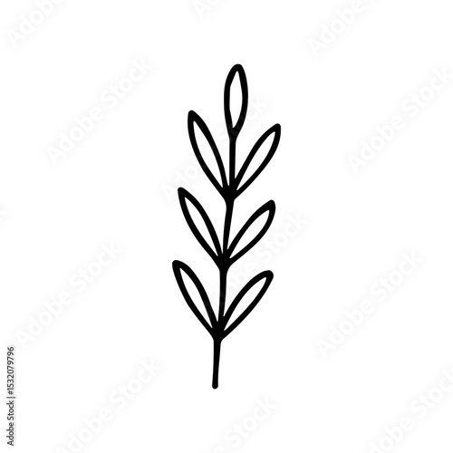 Handdrawn Minimalist Simple Leaf Branch Botanical Illustration Element
