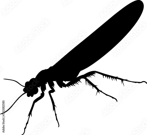 Thrips Insect Black Silhouette Vector Drawing