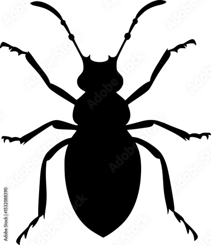 Weevil Insect Black Silhouette Vector Clipart