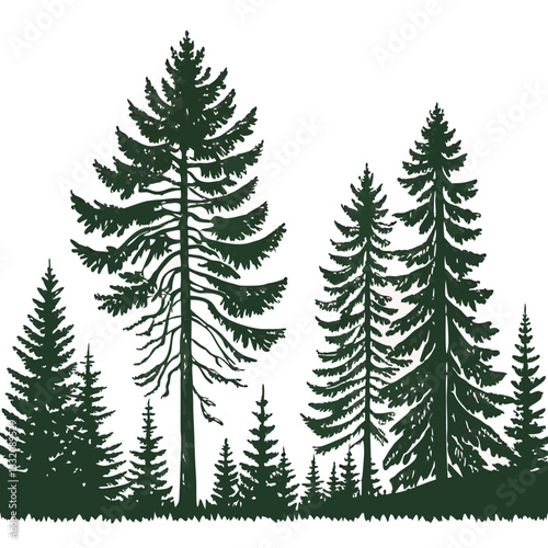 Beautiful hand drawn forest fir trees silhouettes, coniferous spruce horizontal background pattern, forest tree vector