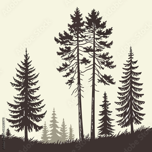 Beautiful hand drawn forest fir trees silhouettes, coniferous spruce horizontal background pattern, forest tree vector
