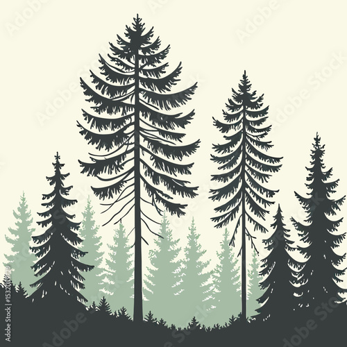 Beautiful hand drawn forest fir trees silhouettes, coniferous spruce horizontal background pattern, forest tree vector