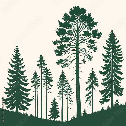 Beautiful hand drawn forest fir trees silhouettes, coniferous spruce horizontal background pattern, forest tree vector