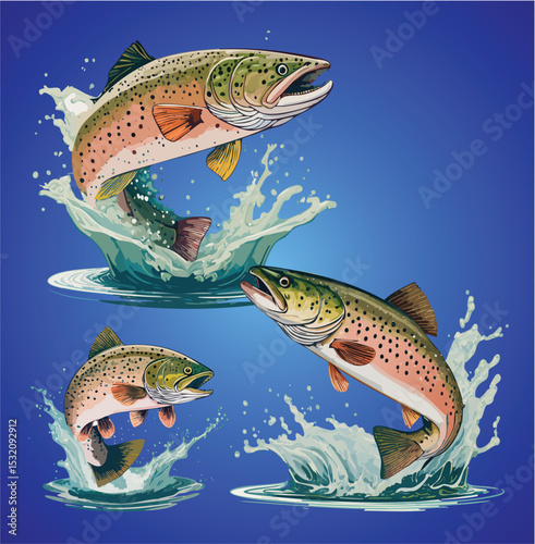 Rainbow trout, leaping brook trout. Set of 3 illustrations.