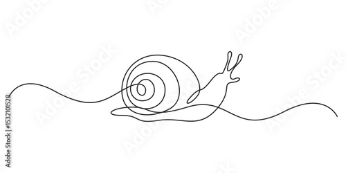 Snail conch continuous one line drawing vector illustration