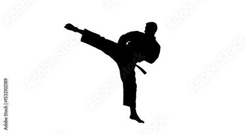 Black Silhouette Icon a Karateka Delivering a High Roundhouse Kick in Mid-Air