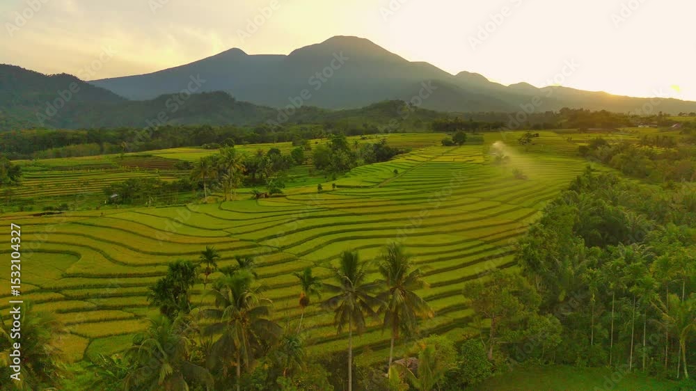 Beautiful morning view indonesia panorama landscape paddy fields with beauty color and sky natural light