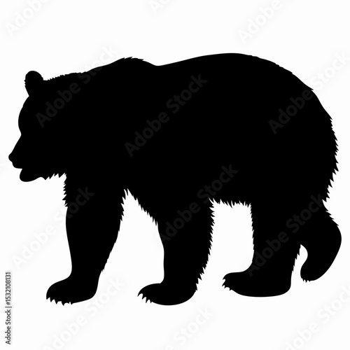 Silhouette of a Walking Bear Isolated on White Background
