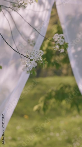 Soft white curtains sway gently in the breeze among blooming branches outdoors