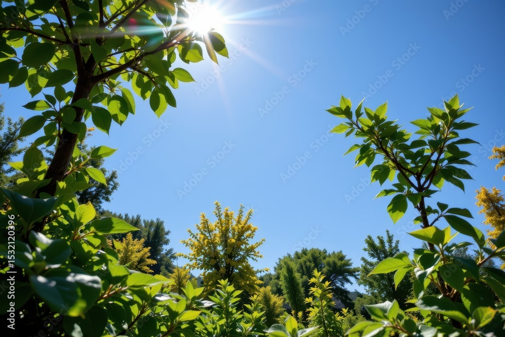 Fototapeta premium sunlight exposure controlling plant height and leaf size, which affects canopy structure and photosynthetic efficiency.