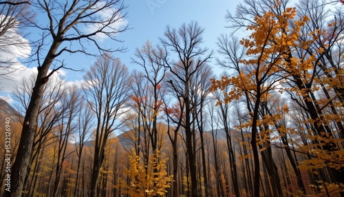 trees shedding leaves prematurely due to exposure to sulfur dioxide and nitrogen oxides from industrial air pollution, weakening forest health.
