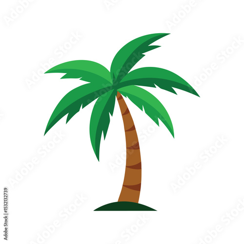 tropical palm tree vector