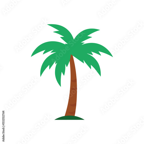 tropical palm tree vector