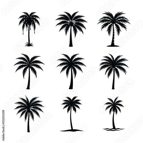 palm tree silhouette bundle