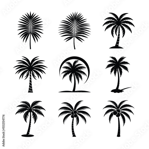 palm tree silhouette bundle