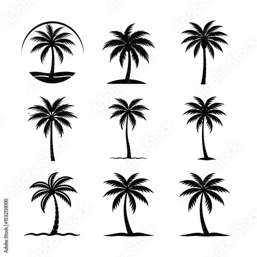 set of palm trees