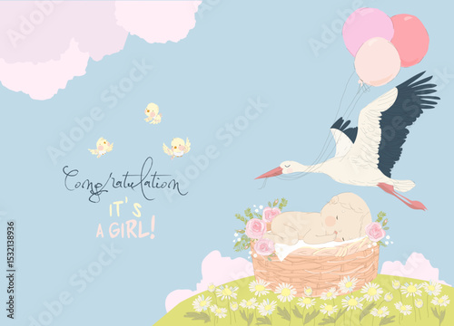 Wallpaper Mural Stork delivering Baby Girl. It s a Girl. Baby Shower Card Torontodigital.ca