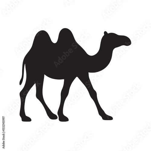 Silhouette of Camel Walking with Two Humps in Desert Environment