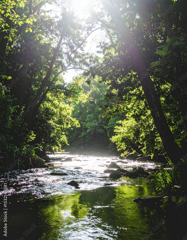 Obraz premium Serene forest landscape with a flowing river and dappled sunlight filtering through lush green leaves. Captures tranquility, nature's beauty, outdoor exploration, and environmental harmony.