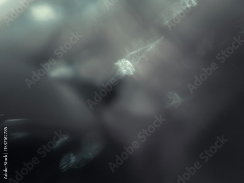 Gray background, black, white, shadow, effect, studio, elegant, calm and premium elements.