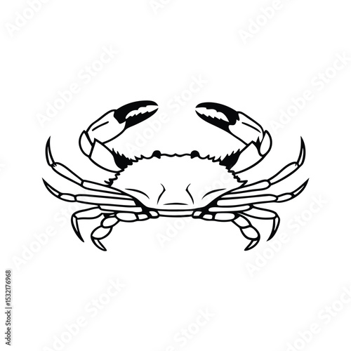 A black crab shows its claws and legs on a white background