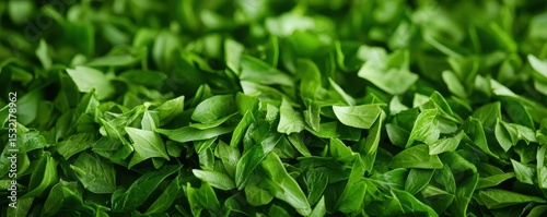 A close-up image of fresh, green spinach leaves densely layered, showcasing their vibrant color and natural texture.