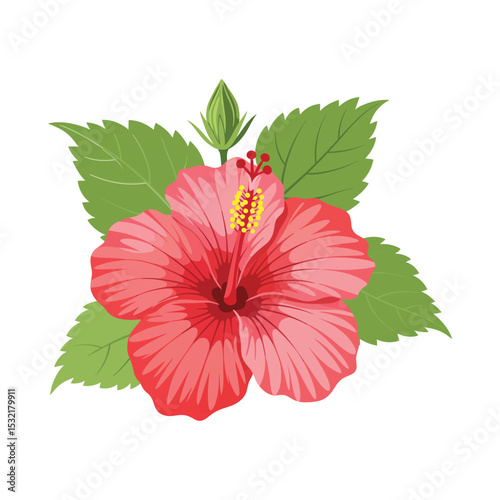 Vibrant Red Hibiscus Flower with Leaves - Tropical Floral Illustration