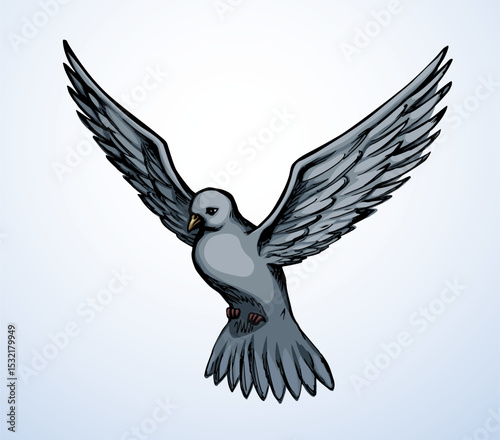 Vector drawing. Dove in the sky