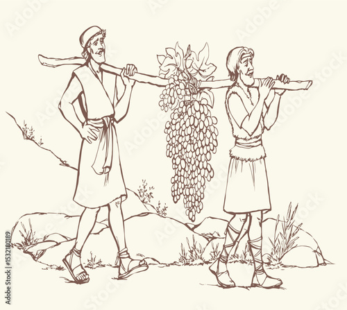Vector drawing. Two men bear a grape.