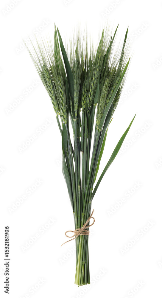 Obraz premium Beautiful green wheat spikes isolated on white