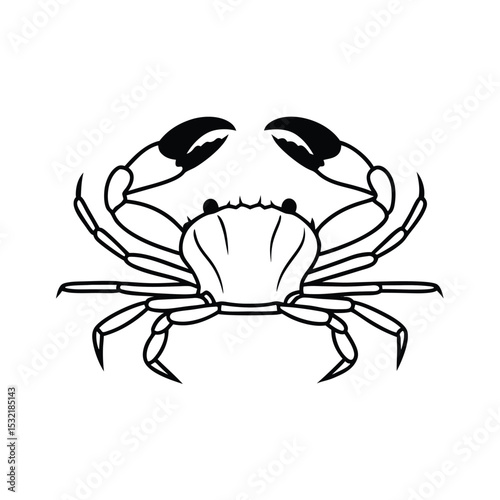 Outlined crustacean crab showcases strong claws and legs on a white surface