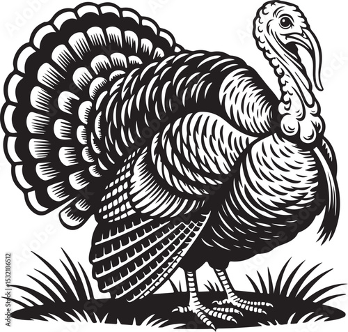 Turkey Silhouette with Feathers, a Warm Thanksgiving Art Design, Ideal for Harvest Feast Decor and Autumn Meal Illustration