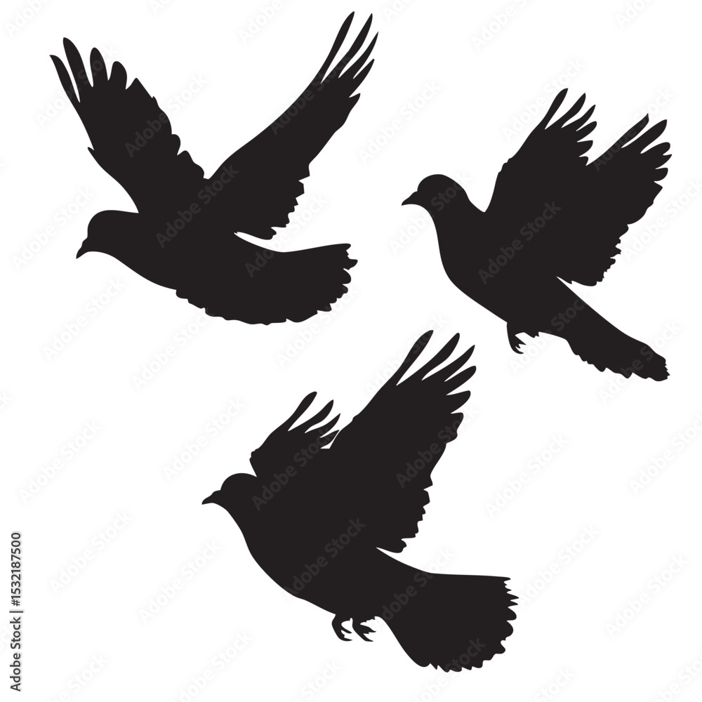 Fototapeta premium Pigeon silhouette, flying Pigeon silhouette vector 
