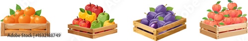 Assortment of various fresh and colorful fruits displayed in wooden crates, ready for harvest