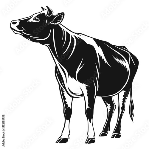 black and white silhouette shows a standing dairy cow looking upward inquisitively