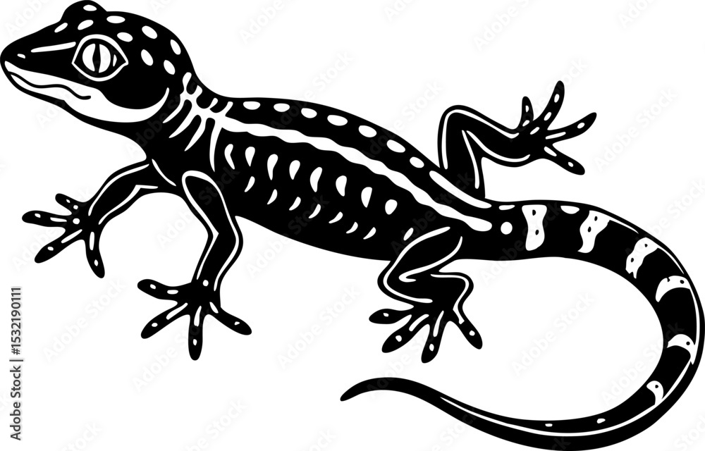 Fototapeta premium A gecko with sticky feet, isolated on a white background