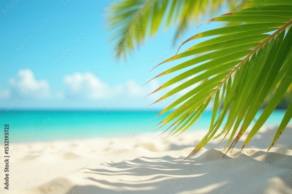 Fototapeta premium Crisp sand texture, in-focus shadow of palm frond, soft ocean backdrop, summery, nature, paradise