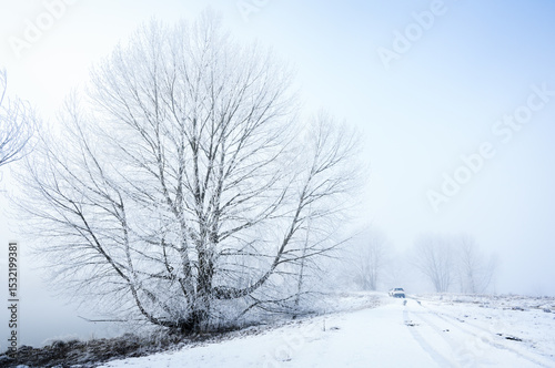 Trees covered with hoar frost. Car driving on the snow-covered road. Twizel. South Island.