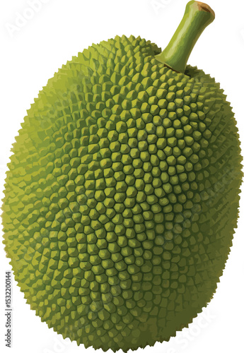 Jackfruit