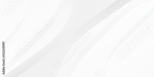 Modern white and gray color background. Dynamic shapes simple modern art abstract