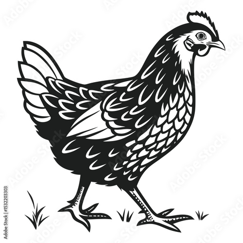 Monochromatic hen walks across the grass looking left, rendered in a vintage vector