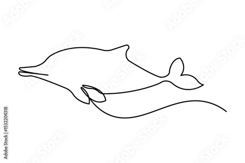 Dolphin outline in one line minimalist illustration
