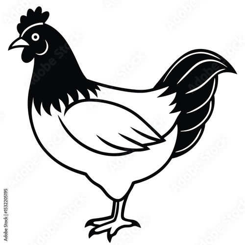 Black and white chicken stands facing left, with distinct feather details visible