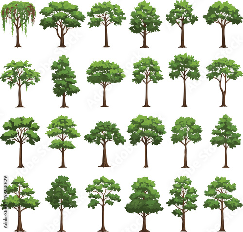 set of green trees isolated