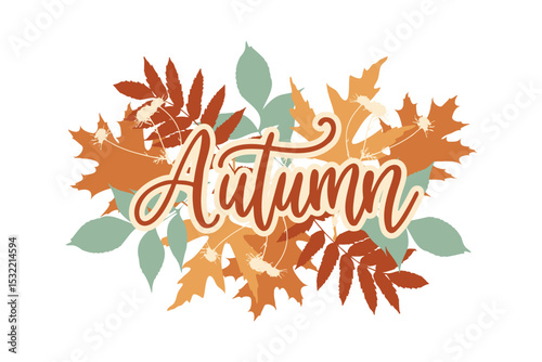 Lettering Autumn on leaves background, hand drawn inscription, element autumn design, isolated on white background.