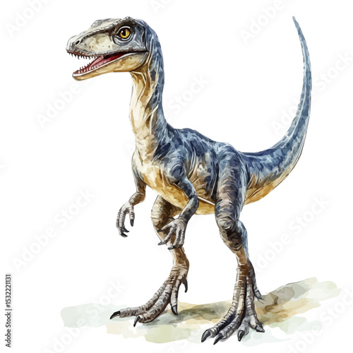 Velociraptor, watercolor drawing vector, high quality, isolated on a white background.