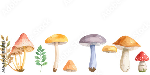 Colorful mushroom set. Vector illustration of different types of fungi in nature